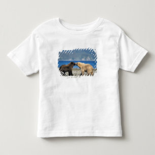 Bruine beer, grizzlybeer, spelen op het strand, kinder shirts