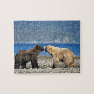 Bruine beer, grizzlybeer, spelen op het strand, legpuzzel