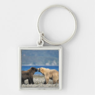 Bruine beer, grizzlybeer, spelen op het strand, sleutelhanger