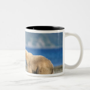 Bruine beer, grizzlybeer, spelen op het strand, tweekleurige koffiemok