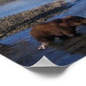 Bruine beer, grizzlybeer, zeug en welpen in poster (Hoek)