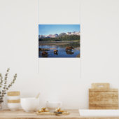 Bruine beer, grizzlybeer, zeug en welpen in poster (Keuken)