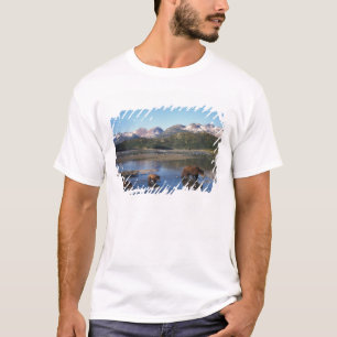 Bruine beer, grizzlybeer, zeug en welpen in t-shirt