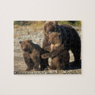 Bruine beer, grizzlybeer, zeug met jongen aan de k legpuzzel