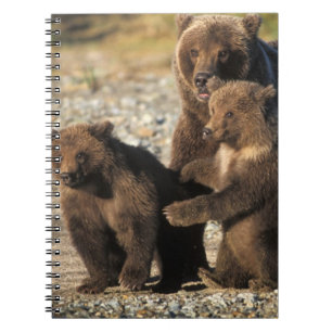 Bruine beer, grizzlybeer, zeug met jongen aan de k notitieboek