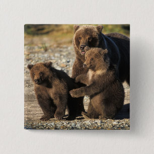 Bruine beer, grizzlybeer, zeug met jongen aan de k vierkante button 5,1 cm