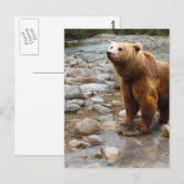 Bruine beer in beek briefkaart (Voorkant / Achterkant)