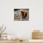 Bruine beer in beek poster (Keuken)