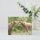 Bruine beer Katmai Alaska  Briefkaart (Staand voorkant)