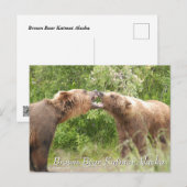Bruine beer Katmai Alaska  Briefkaart (Voorkant / Achterkant)