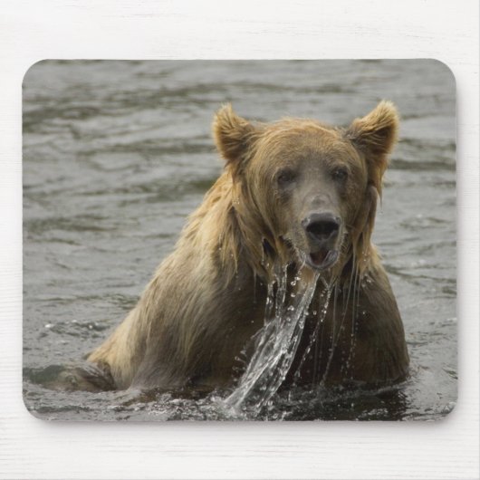 Bruine-beer-mousepad Muismat (Voorkant)