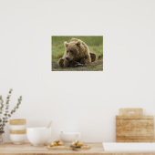 Bruine beer, of Kust Grizzlybeer, Ursus Poster (Keuken)
