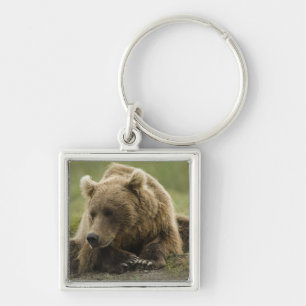 Bruine beer, of Kust Grizzlybeer, Ursus Sleutelhanger