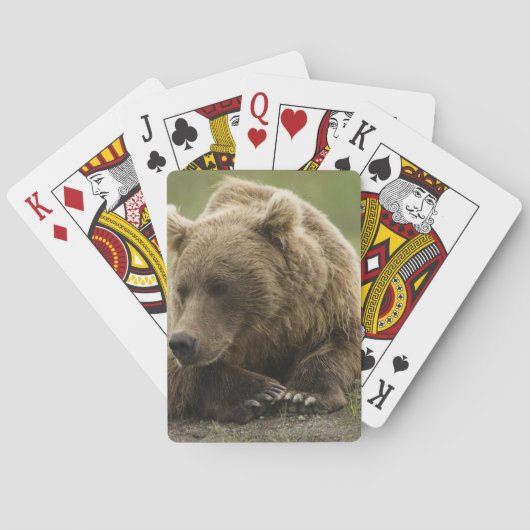 Bruine beer, of Kustgrizzlybeer, Ursus Speelkaarten (Achterkant)