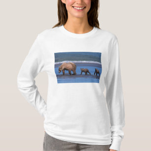 Bruine beer, Ursus arctos, Alaska schiereiland, 2 T-shirt