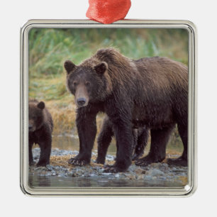 bruine beer, Ursus arctos, grizzlybeer, Ursus 3 Metalen Ornament