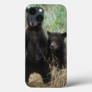 bruine beer, Ursus arctos, grizzlybeer, Ursus 7 2 Case-Mate iPhone Case