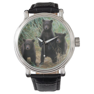 bruine beer, Ursus arctos, grizzlybeer, Ursus 7 2 Horloge