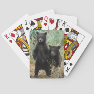 bruine beer, Ursus arctos, grizzlybeer, Ursus 7 2 Pokerkaarten