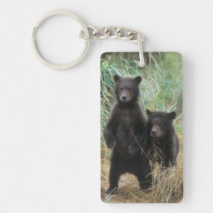 bruine beer, Ursus arctos, grizzlybeer, Ursus 7 2 Sleutelhanger