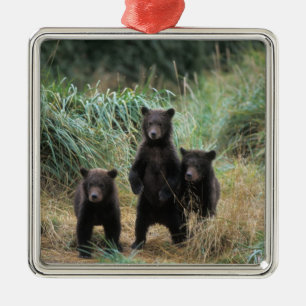 bruine beer, Ursus arctos, grizzlybeer, Ursus 7 Metalen Ornament