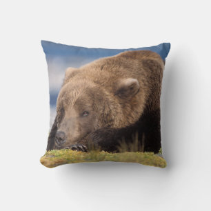 bruine beer, Ursus arctos, grizzlybeer, Ursus 8 Kussen