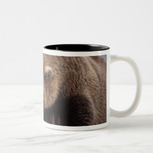 bruine beer, Ursus arctos, grizzlybeer, Ursus 8 Tweekleurige Koffiemok