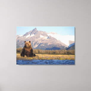 bruine beer, Ursus arctos, grizzlybeer, Ursus Canvas Afdruk