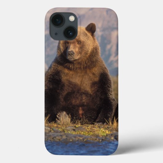 bruine beer, Ursus arctos, grizzlybeer, Ursus Case-Mate iPhone Case (Achterkant)