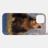 bruine beer, Ursus arctos, grizzlybeer, Ursus Case-Mate iPhone Case (Achterkant (horizontaal))