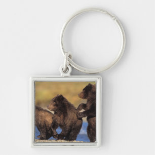 bruine beer, Ursus arctos, grizzlybeer, Ursus Sleutelhanger