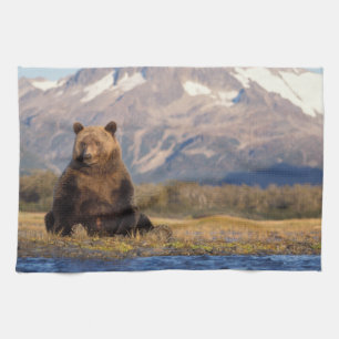 bruine beer, Ursus arctos, grizzlybeer, Ursus Theedoek