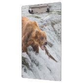 Bruine beer vangt rode zalm klembord (Links)