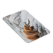 Bruine beer vangt rode zalm magneet (Rechterzijde)