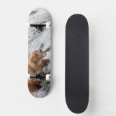 Bruine beer vangt rode zalm persoonlijk skateboard (Voorkant)