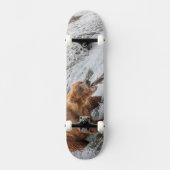 Bruine beer vangt rode zalm persoonlijk skateboard (Voorkant)