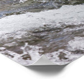 Bruine beer vangt rode zalm poster (Hoek)