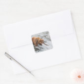 Bruine beer vangt rode zalm vierkante sticker (Envelop)