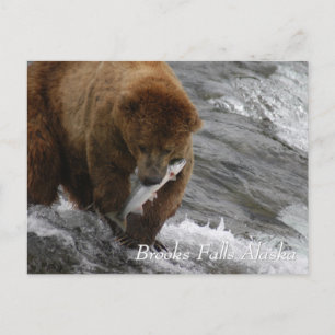 Bruine beer ving een zalm in Brooks Falls Alaska  Briefkaart