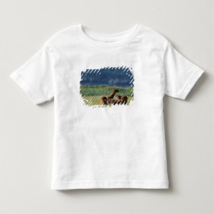 Bruine beren aan het spelen, Ursus arctos, Alaska Kinder Shirts