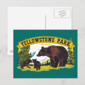  bruine Beren in het nationale park van Yellowston Briefkaart (Voorkant / Achterkant)