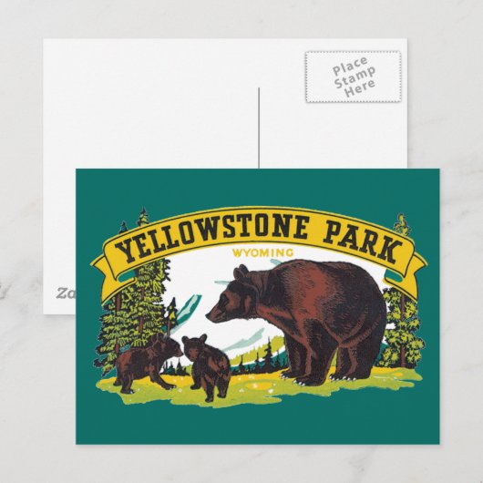  bruine Beren in het nationale park van Yellowston Briefkaart (Voorkant / Achterkant)