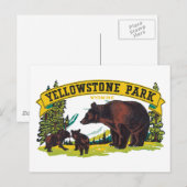  bruine Beren in het nationale park van Yellowston Briefkaart (Voorkant / Achterkant)