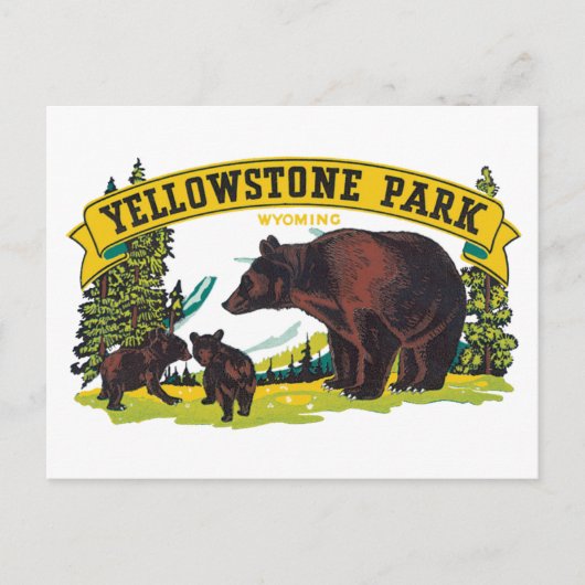  bruine Beren in het nationale park van Yellowston Briefkaart (Voorkant)