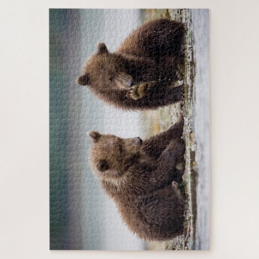 Bruine Beren kubussen van de Stroom Legpuzzel (Verticaal)