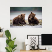 Bruine Beren kubussen van de Stroom Poster (Thuiskantoor)
