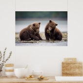 Bruine Beren kubussen van de Stroom Poster (Keuken)