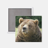 Bruine Beren magneet (Voorkant / Achterkant)