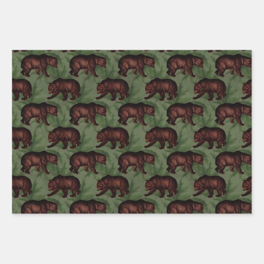 bruine Beren over groene Inpakpapier Vel (Voorkant 3)