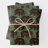 bruine Beren over groene Inpakpapier Vel (In situ)